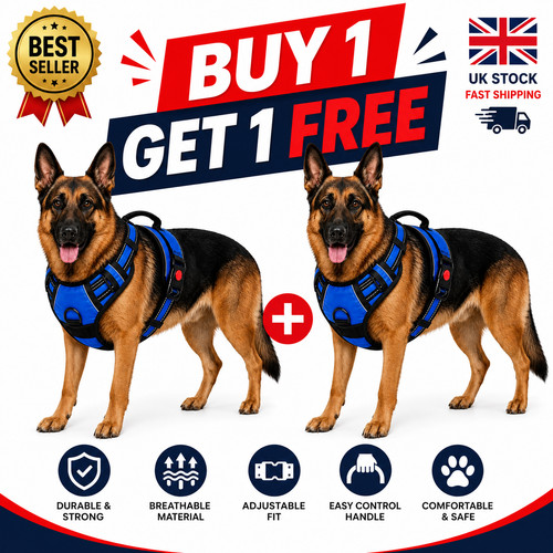 Blue german shepherd harness - german,