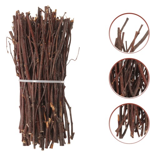 Diy craft twigs branch - twigs, willow