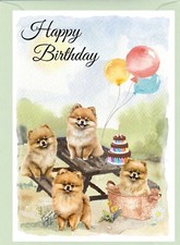 Pomeranian Dog (4"x 6") Birthday Card - blank inside - by Starprint