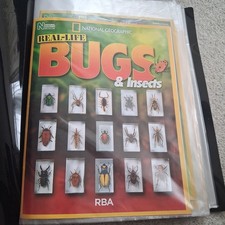 Real-Life Bugs and Insects