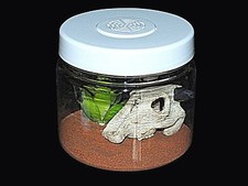 Large Micro Habitat,Ideal for Tarantula Slings & Other Invertebrates 