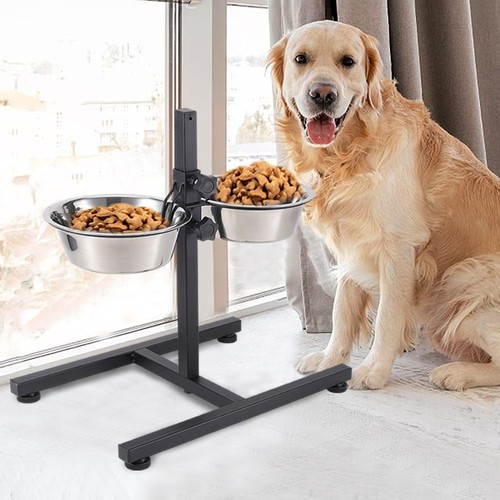Raised double dog cat - double, food