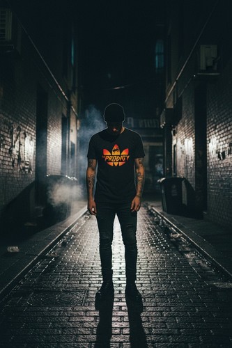 The prodigy fan inspired - prodigy,