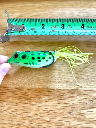 Pike fishing - pike,