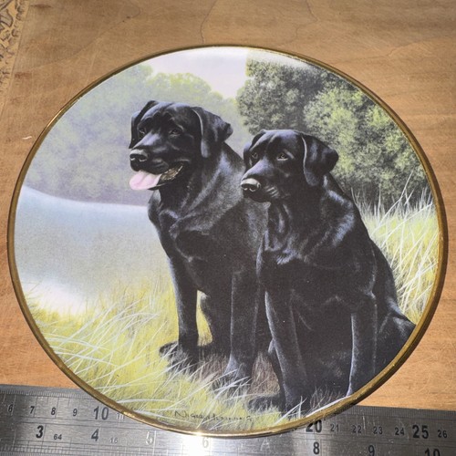 Franklin mint sporting - mint,