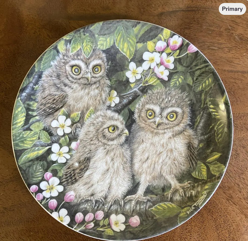 Wedgwood the baby owls plate - wedgwood,