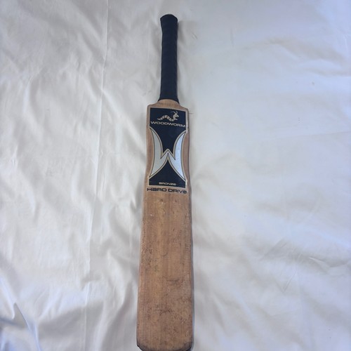 2011 woodworm hard - woodworm,