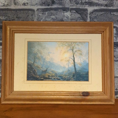 Framed woodland stag print - stag,