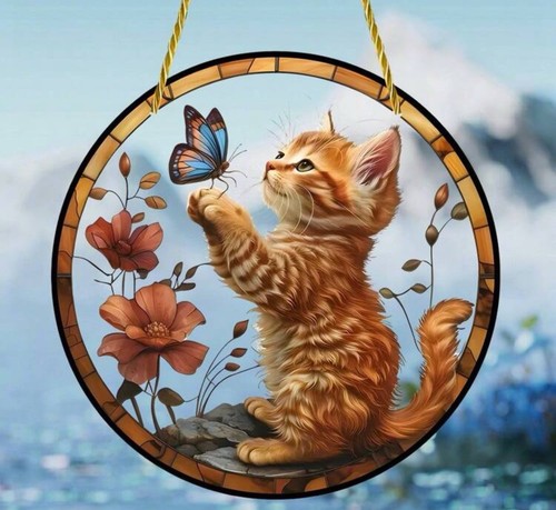 Cute kitten cat sun - sun, catcher