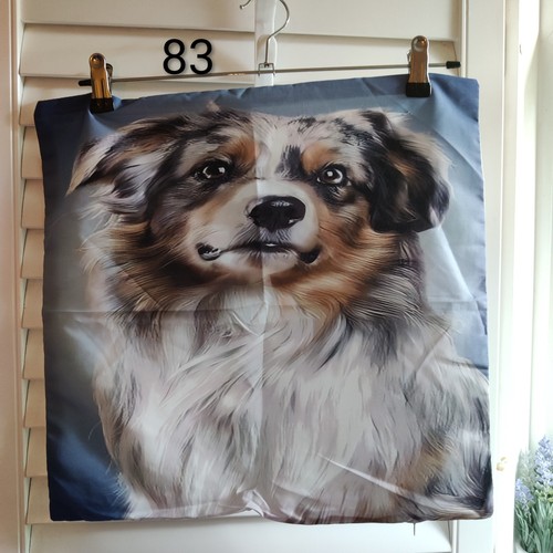 Australian shepherd soft - shepherd,