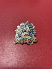 Splash Mountain Pin