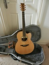 McIIroy A30c   2018 Acoustic  + LR Baggs M80  + OHSC