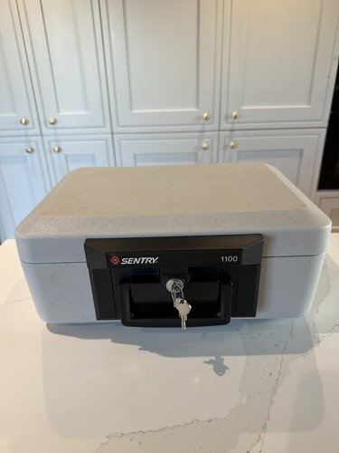 Sentry 1100 portable - portable, fire