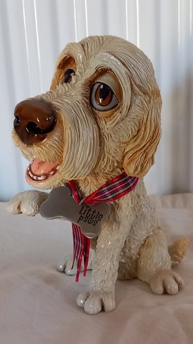 Little paws collection - little,