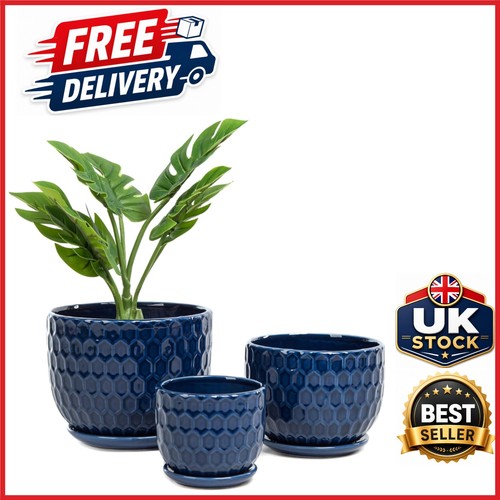 Indoor succulent planters - indoor,