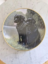 Nigel Hemming Sporting