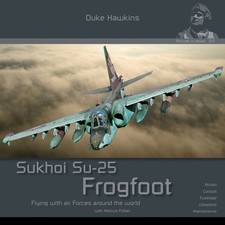 Aircraft in detail 017 Sukhoi