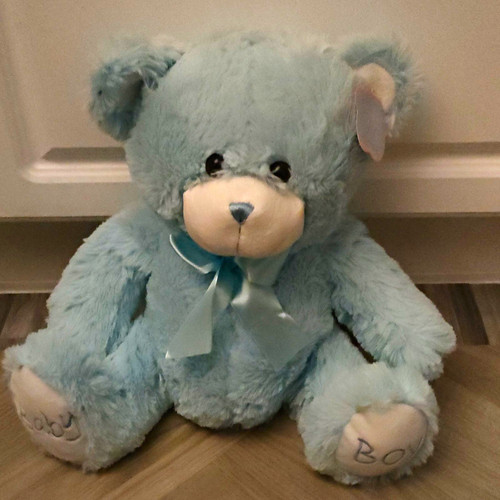New blue plush medium - medium, teddy