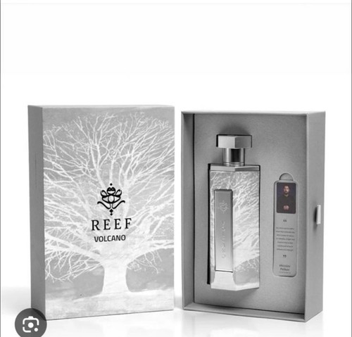 Reef volcano authentic - volcano.,