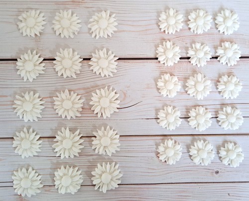 White edible daisies - edible,