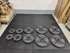 150kg Cast Iron Olympic Weight