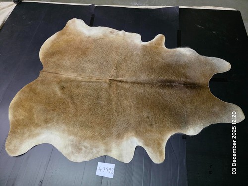 Brand new genuine cow - new,