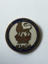 Victorian Enamel Shilling