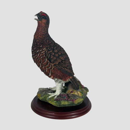 Red grouse gamebird - gamebird, border