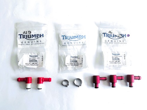 Triumph injection daytona 955i - triumph,