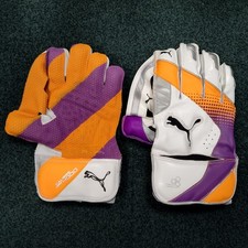 PUMA Cricket Wicket Keeping
