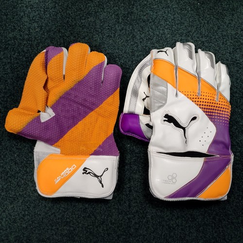 Puma cricket wicket - wicket, keeping
