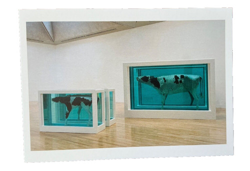 Damien hirst mother - -,