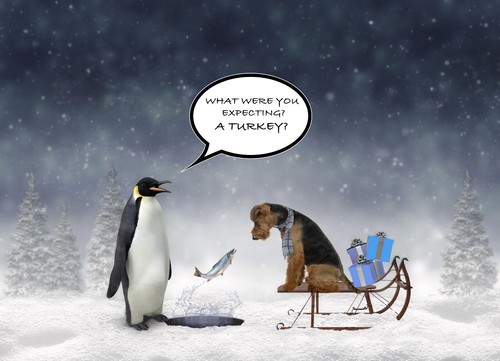 Christmas cards welsh - christmas,