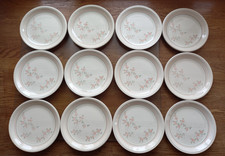 Biltons vintage rose garden