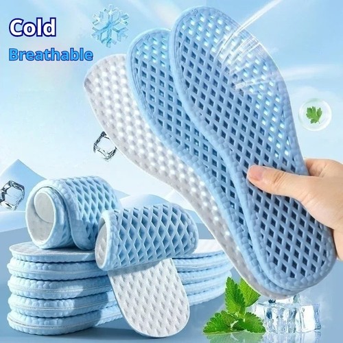 Pairs cooling shoe - cooling,