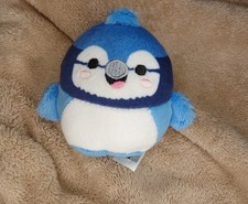 Babs Squishmallows Bluejay