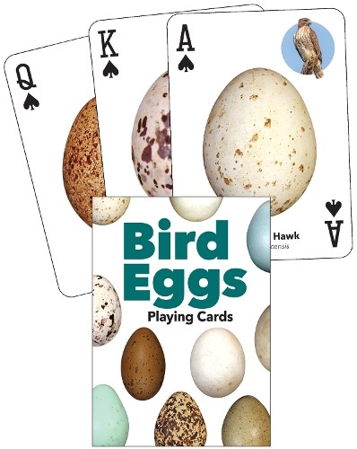 Bird eggs playing cards - bird,