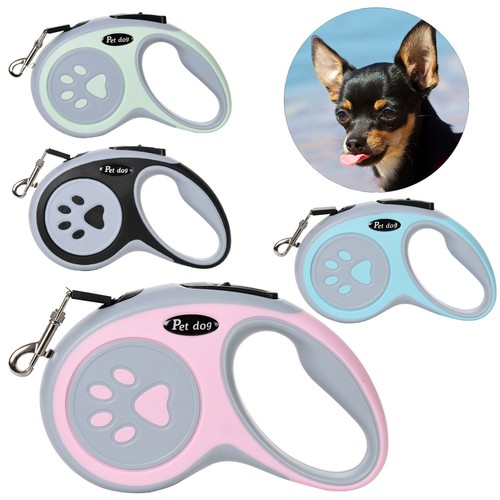Retractable dog lead - dog,