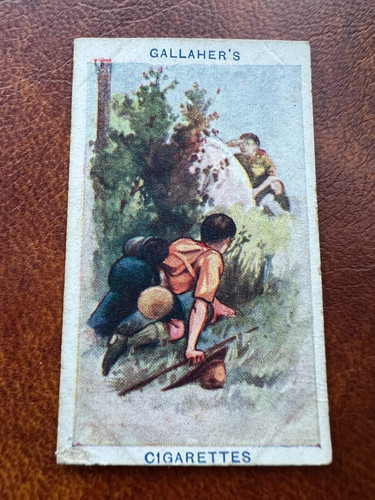 Gallaher cigarette card boy - cigarette,