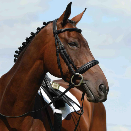 Collegiate syntovia raised - syntovia+,