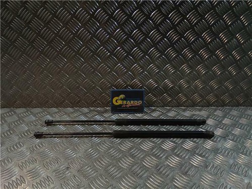 1k9827550a tailgate gas strut - tailgate,