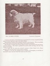 CLUMBER SPANIEL OLD VINTAGE 1934 NAMED DOG PRINT PAGE 