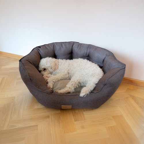 Allpetsolutions alfie premium - allpetsolutions,