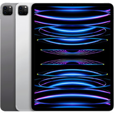 Apple iPad Pro 11" 4th Gen