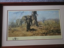 David Shepherd “The Land of