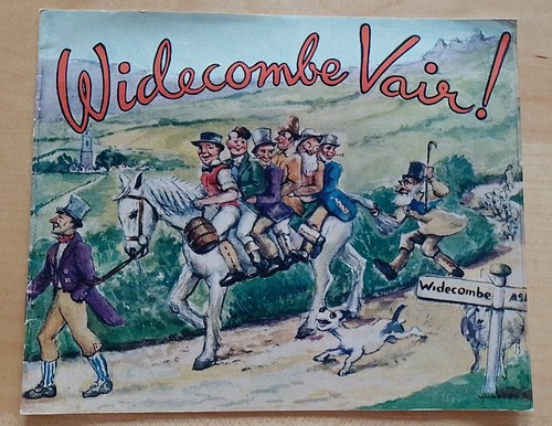 Widecombe vair vintage - vair,