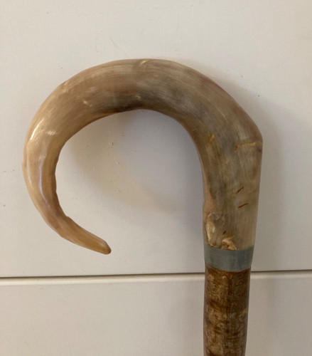 Rams horn crook handle - rams,