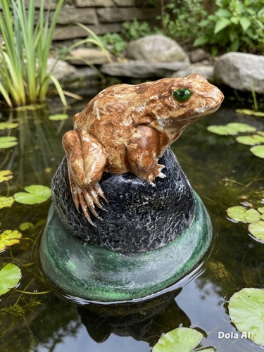 Small frog toad - frog, a