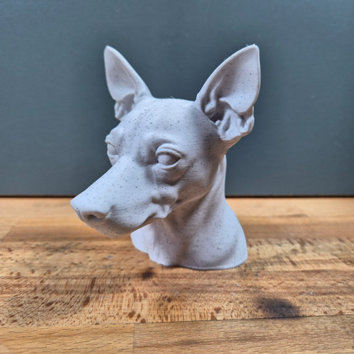 Miniature pinscher bust - miniature,