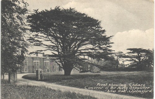 Chelmsford convent the - of,